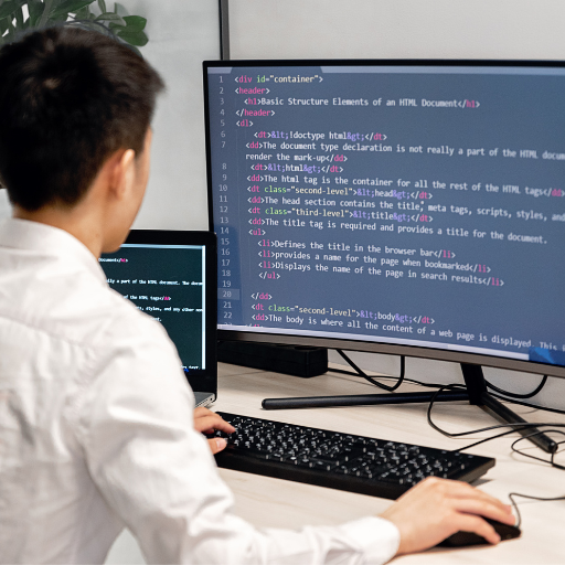 Custom Software Development